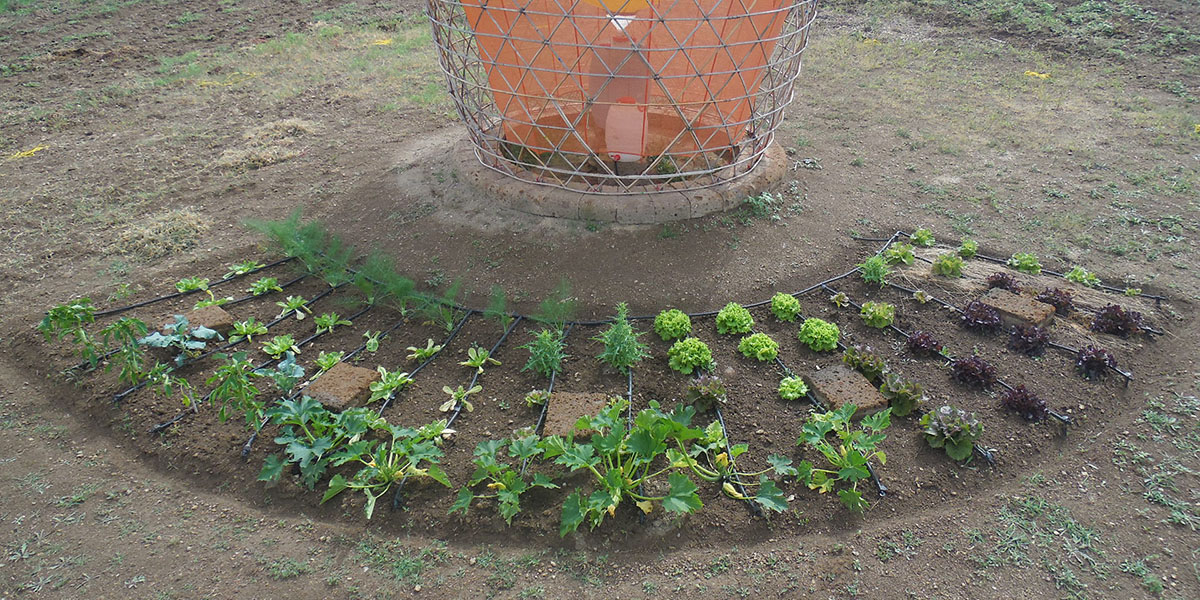 Warka Village Warka Water