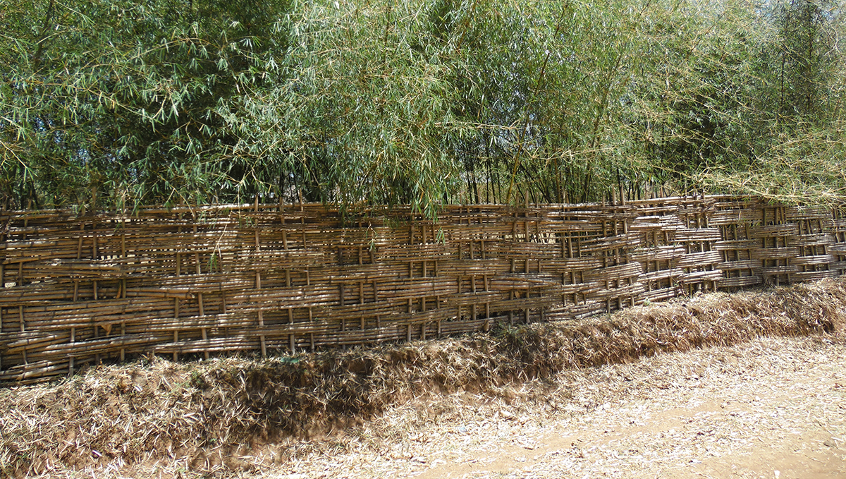 092_IM_RF_Bamboo+Fence_Soma_SAM_0975 Ethiopia house fence