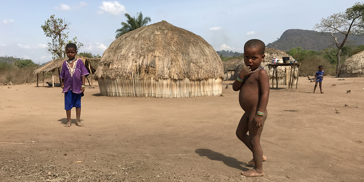 1-House_Village_Togo Warka House